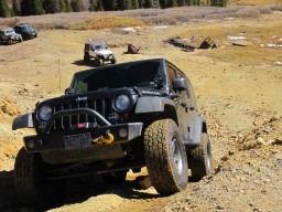 Click to see this photograph full size