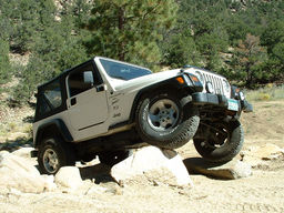 Click to see this photograph full size