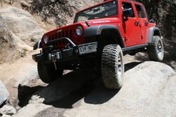 Click to see this photograph full size