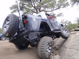 Click to see this photograph full size