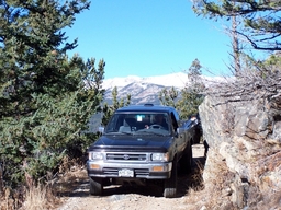 Click to see this photograph full size