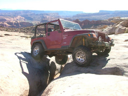 Click to see this photograph full size