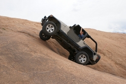 Click to see this photograph full size