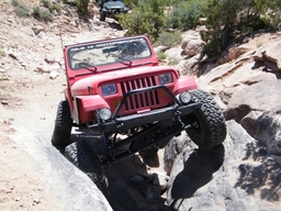 Click to see this photograph full size