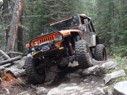 Click to see this photograph full size