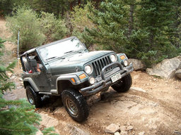 Click to see this photograph full size