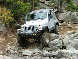 Click to see this photograph full size