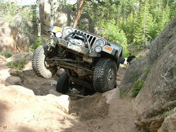 Click to see this photograph full size