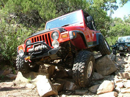 Click to see this photograph full size