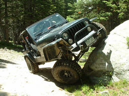 Click to see this photograph full size