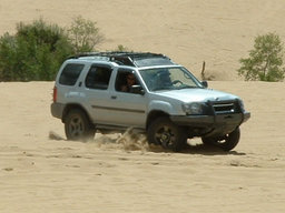 Click to see this photograph full size