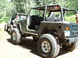 Click to see this photograph full size