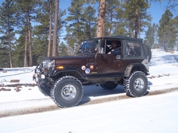 Click to see this photograph full size