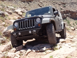 Click to see this photograph full size