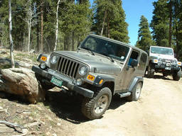 Click to see this photograph full size