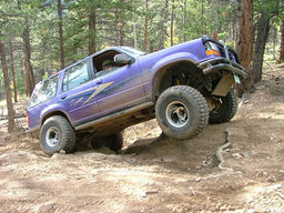 Click to see this photograph full size