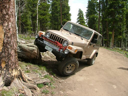 Click to see this photograph full size