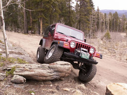 Click to see this photograph full size