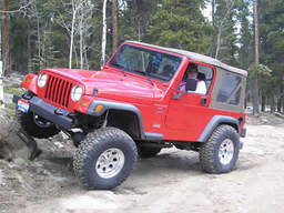 Click to see this photograph full size