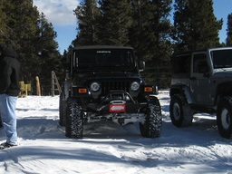 Click to see this photograph full size