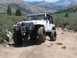 Click to see this photograph full size